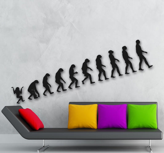 Wall Stickers Vinyl Decal Evolution Darwin Theory Decor Living Room (ig1326)