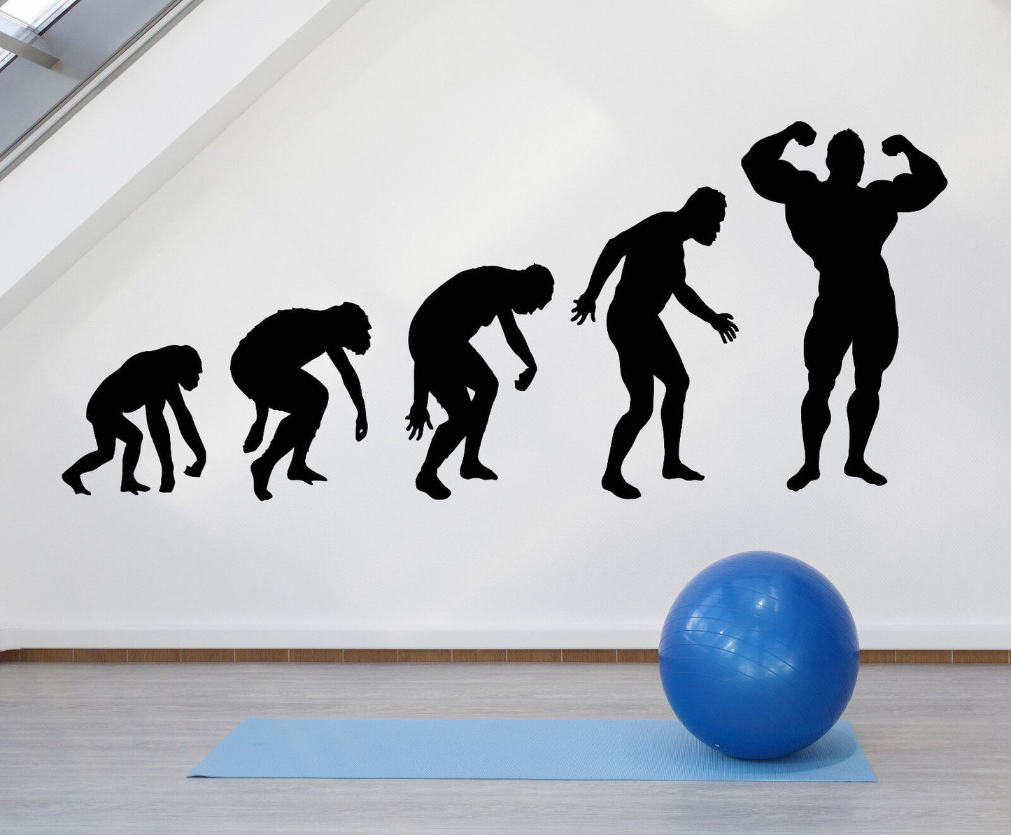 Wandtattoo Evolution des Menschen, Fitnessstudio, Bodybuilding, Körpermuskeln, Vinyl, Sticker 1316ig